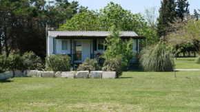 MAS MAURANE-Le Platane avec SPA privé aux portes d'ARLES